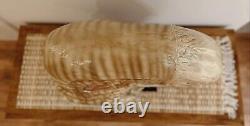 Alien Newborn Life-Size Head Prop Replica Statue Alien Collectible Bust