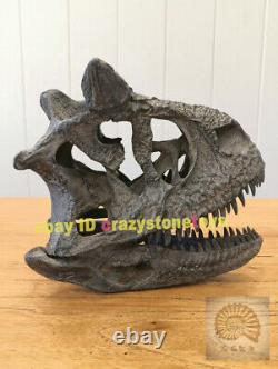 Carnotaurus Skull Dinosaur Statue Resin Animal Model Display Collection Figure