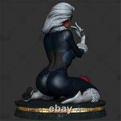Cat Woman Unpainted Resin Kits Model GK Statue 3D Print 20cm 1/6 New