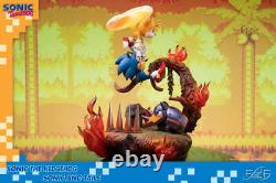 First4Figures Sonic The Hedgehog Sonic & Tails 20 RESIN Statue BRAND NEW