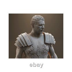 Gladiator Maximus Decimus Garage Kit Figure Collectible Statue Handmade Gift