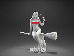 Hermione on Broom Unpainted Unassembled Resin 3D printed Model Figure NSFW KIT