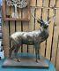Large Stag Figure Monarch Of The Glen Bronze Resin Statue 53cmx38cm