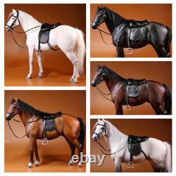 Mr. Z 16 Scale Animal Resin Simulation Toy Hanoveria Horse Figure 5 Color Model
