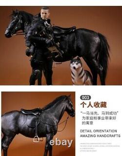 Mr. Z 16 Scale Animal Resin Simulation Toy Hanoveria Horse Figure 5 Color Model