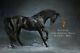 Mr. Z 1/6 Black Akhal-teke Horses No Harness Fergana Horse Animal Figure Statue