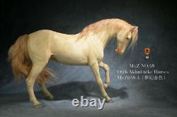 Mr. Z 1/6 MRZ048-4 Akhal-teke Horses No Harness Fergana Horse Figure Statue Model