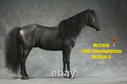Mr. Z 1/6 War Horse Resin Animal Figure Statue Accessory for 12 Soldier Presale