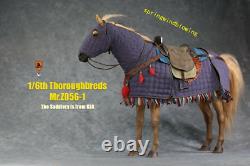 Pre Mr. Z 1/6 MRZ056-1 Resin Thoroughbreds War Horse Statue Animal Figure Model