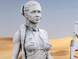 Princess Leia Garage Kit Figure Collectible Statue Handmade Gift Painted