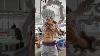 Sbs Studio Gear 5 Luffy Unboxing Figurine Animeresin Gear5 Luffy Figure Onepiece Gk