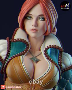Triss Merigold Resin Figure Kit Statue The Witcher Diorama Need Painting 30cm