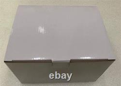 Troodon Formosus Dinosaur Statue Animal Model Resin Display Figure IN STOCK