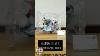 Unboxing Resin Statue Action Figure Onepiece Zoro Shorts Fyp Anime Actionfigures Onepiece