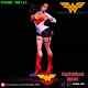 Wonder Woman Resin DC Comics Statue Sexy Wonder Woman Figure Pre-Order