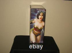 Yamato Fantasy Figure Gallery Wonder Woman RESIN Statue by Luis Royo #154 of 500